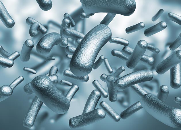 silver bacteria