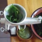 Dieta cu urzici: slăbești și îți tonifiezi corpul