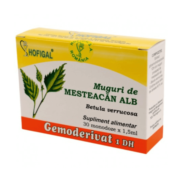 Gemoderivat muguri de mesteacăn alb, 30 doze unice X 1,5 ml, Hofigal