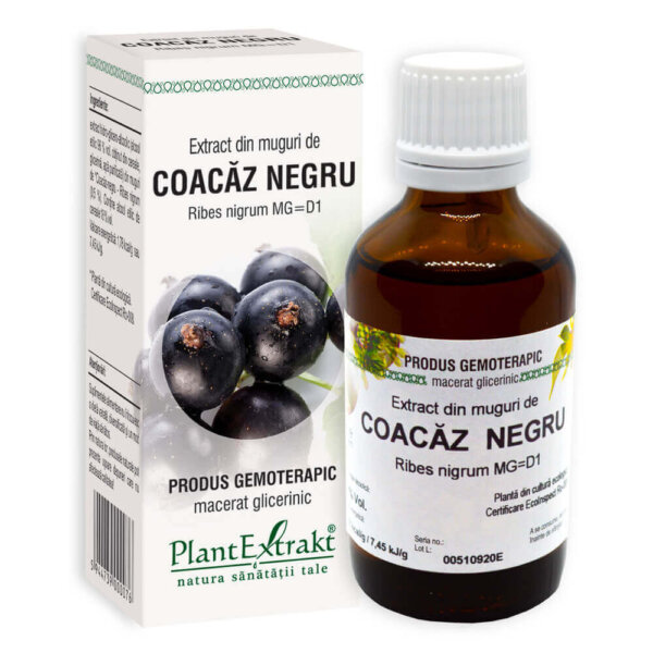 Extract din muguri de coacăz negru, 50 ml, PlantExtrakt