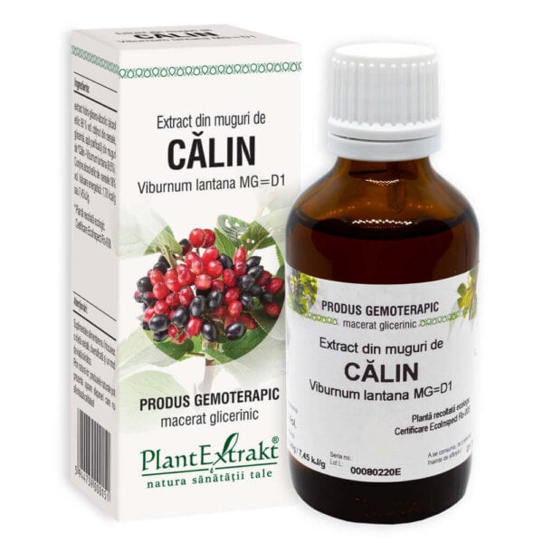Extract din muguri de călin, 50 ml, PlantExtrakt