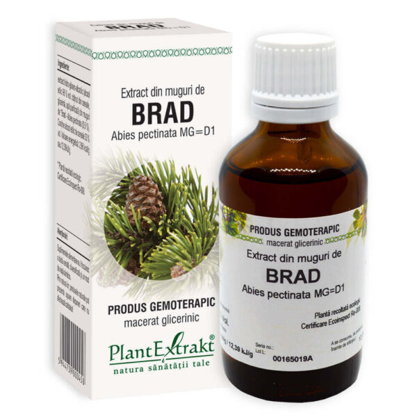 Extract din muguri de brad, 50 ml, PlantExtrakt