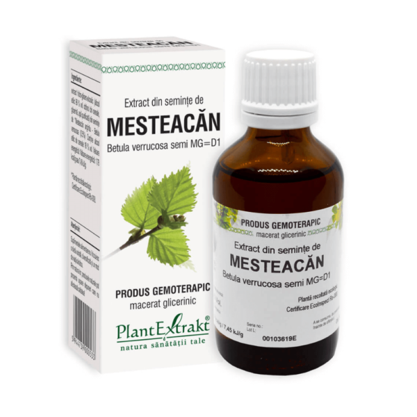 Extract de semințe de mesteacăn, 50 ml, PlantExtrakt