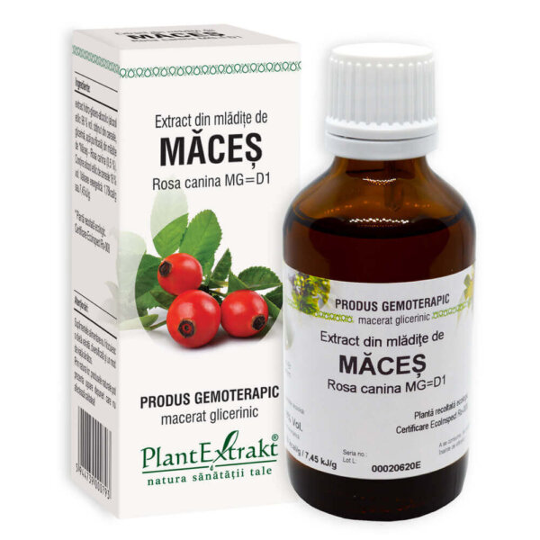 Extract din mlădițe de măceș, 50 ml, PlantExtrakt