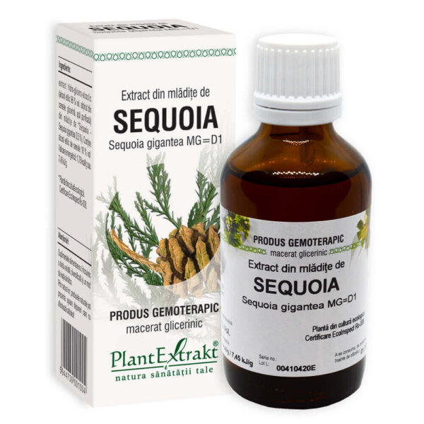 Extract din mlădițe de sequoia, 50 ml, Plant Extrakt