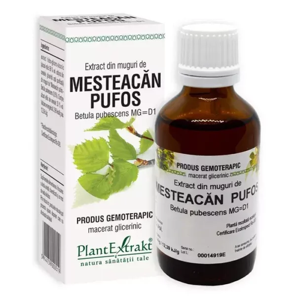 Concentrat din muguri de mesteacăn pufos, 15ml, PlantExtrakt
