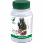 Opuntia ficus indica, 200cps, Pro Natura