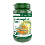 Gastrophyt Forte, 60 capsule, Pro Natura