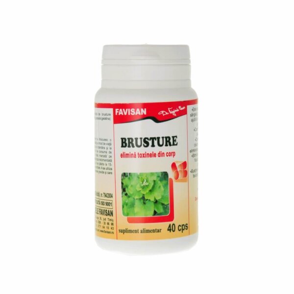 Brusture, 40 capsule, Favisan