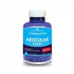 Articular Stem, 120 capsule, Herbagetica