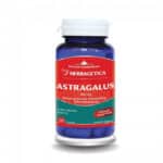Astragalus 500 mg, 30 capsule, Herbagetica