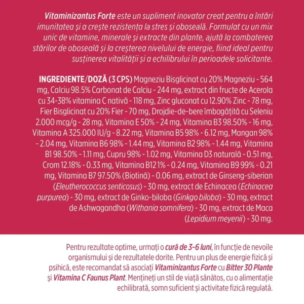 Vitaminizantus Forte, 90 caspule, Faunus Plant