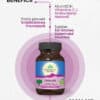 Amalaki, Vitamina C şi Antioxidanţi Naturali, 60 capsule, Organic India
