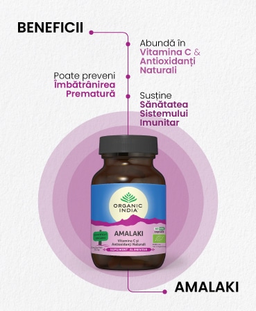 Amalaki, Vitamina C şi Antioxidanţi Naturali, 60 capsule, Organic India