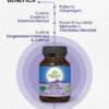 Brahmi-Gotu Kola | Creier & Sistem Nervos, 60 capsule, Organic India