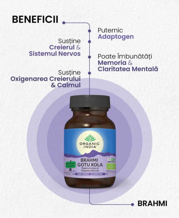 Brahmi-Gotu Kola | Creier & Sistem Nervos, 60 capsule, Organic India