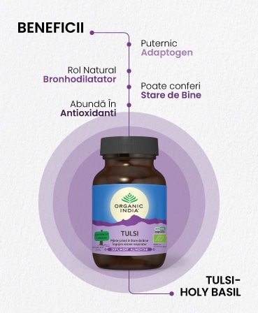 Tulsi, 60 capsule, Organic India