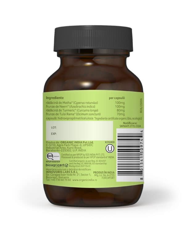 Prostate Care, 60 capsule, Organic India