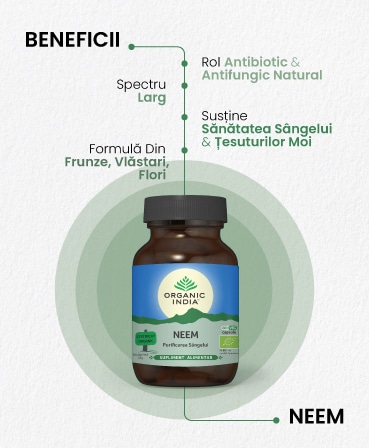 Neem | Antibiotic Natural, 60 capsule, Organic India