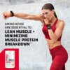 Gnc Pro Performance Essential Amino Complete, Aminoacizi,  Cu Aroma De Mandarine, 450 G