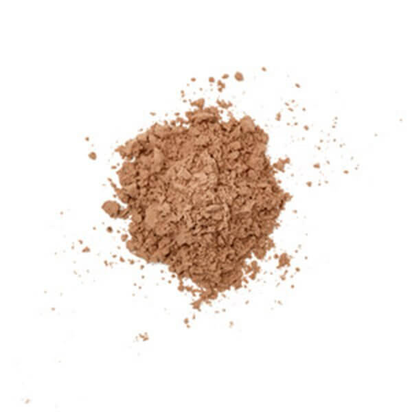 825g-048107252731