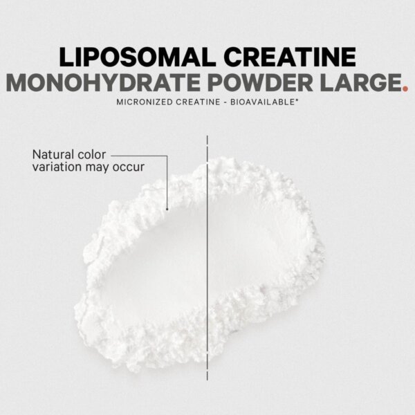 Codeage Liposomal Creatine Monohydrate, Creatina Monohidrata Lipozomala, 455 g, GNC