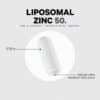 Codeage Liposomal Zinc 50+, Zinc Lipozomal 50+ Complex De Fosfolipide, 100 Cps