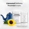 Codeage Liposomal Glutathione, Glutation Lipozomal Pudra 1000 Mg, 63g