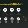Better Alt Shilajit Himalayan, Rasină pură cu 75% Acid Fulvic, 30g, GNC
