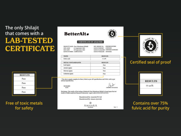 Better Alt Shilajit Himalayan, Rasină pură cu 75% Acid Fulvic, 30g, GNC