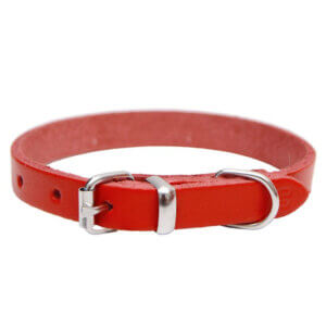 Zgardă 4DOG pentru câini din Piele Roșie, Nr. 00, 10x290 mm