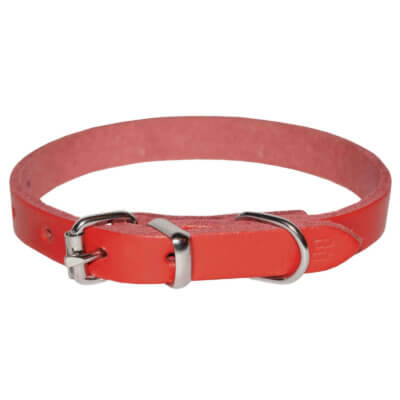 Zgardă pentru câini, 4DOG, Piele, Roșie, Nr. 2, 20 450 mm