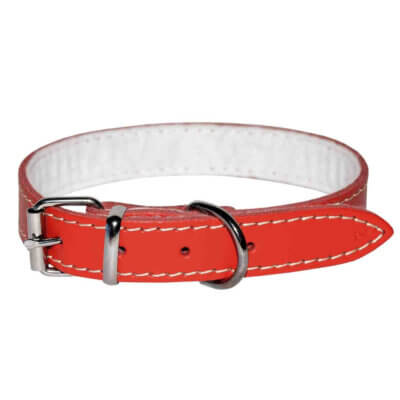 Zgardă pentru câini, 4DOG, Piele și Pâslă, Roșie, Nr. 3, 25 530 mm
