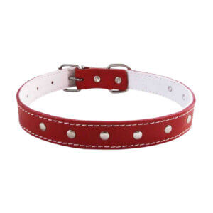 Zgarda Caini 4DOG Ornamente Rosie 12 360mm