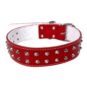 4DOG Zgarda pentru Caine din Piele cu Ornamente
