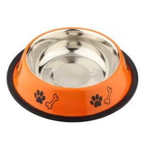 Castron 4DOG Inox, Portocaliu Antiderapant, 0,95L, 18cm
