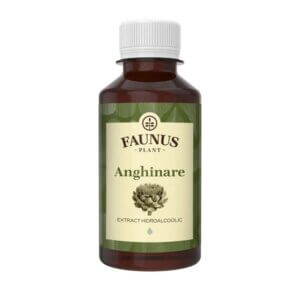 Tinctură de Anghinare, 200 ml, Faunus Plant