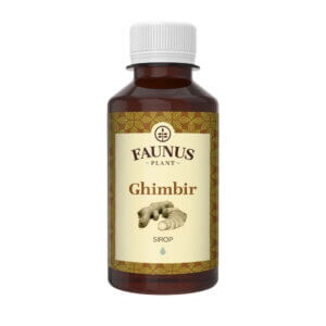Sirop de Ghimbir, 200 ml, Faunus Plant