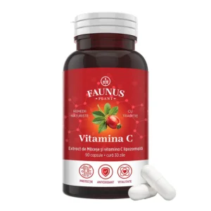 Vitamina C lipozomală cu măceșe, 90 capsule, Faunus Plant
