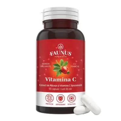 Vitamina C lipozomală cu măceșe, 90 capsule, Faunus Plant