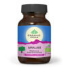 Amalaki, Vitamina C şi Antioxidanţi Naturali, 60 capsule, Organic India