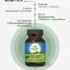 Liver-Kidney, Ficat și Rinichi, 60 capsule, Organic India