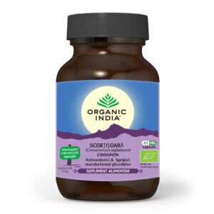 Scorțișoară Ceylon Bio, 60 capsule, Organic India