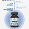 Immunity, 60 capsule, Organic India