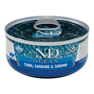 ND Ocean