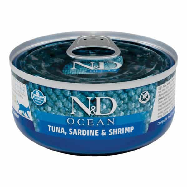 ND Ocean