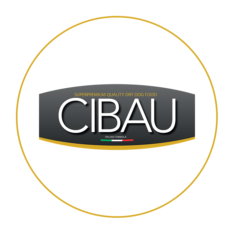 logo cibau
