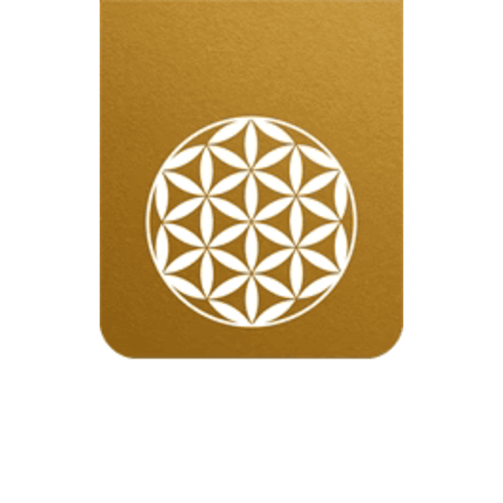 NOVO BIOMEDICS logo