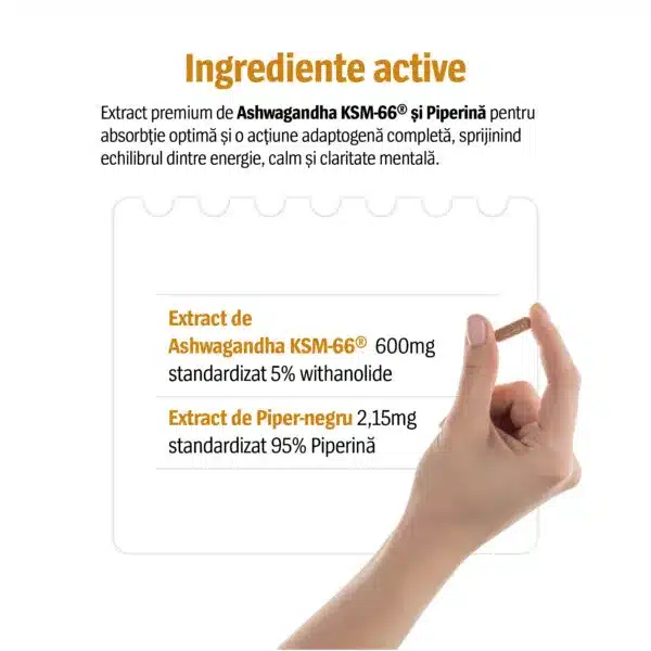 Ashwagandha KSM-66® 600mg, 30 capsule, Alevia