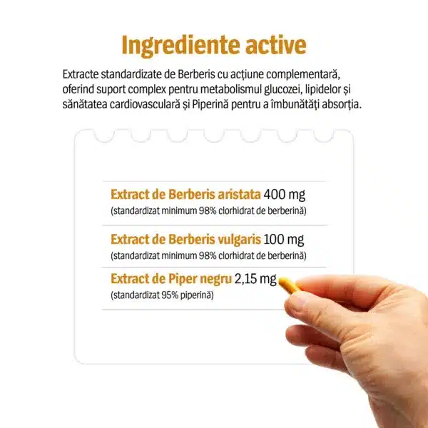 Berberină Duo, 60 capsule, Alevia